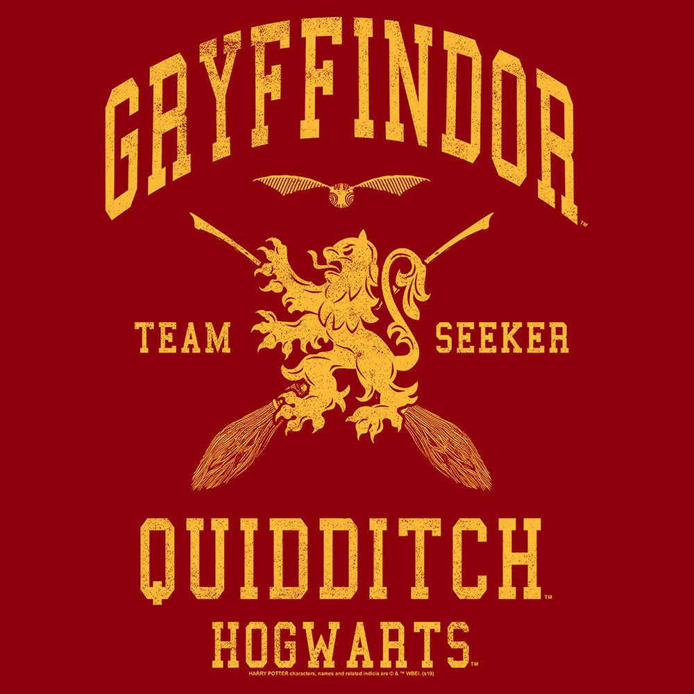 Harry Potter Gryffindor Quidditch Seeker T-Shirt