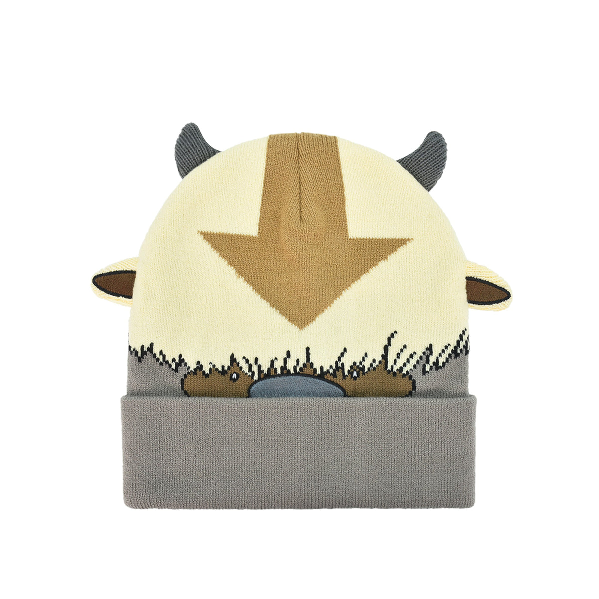 Avatar The Last Airbender Knitted Winter with Cuff Beanie Hat, Multi, One Size
