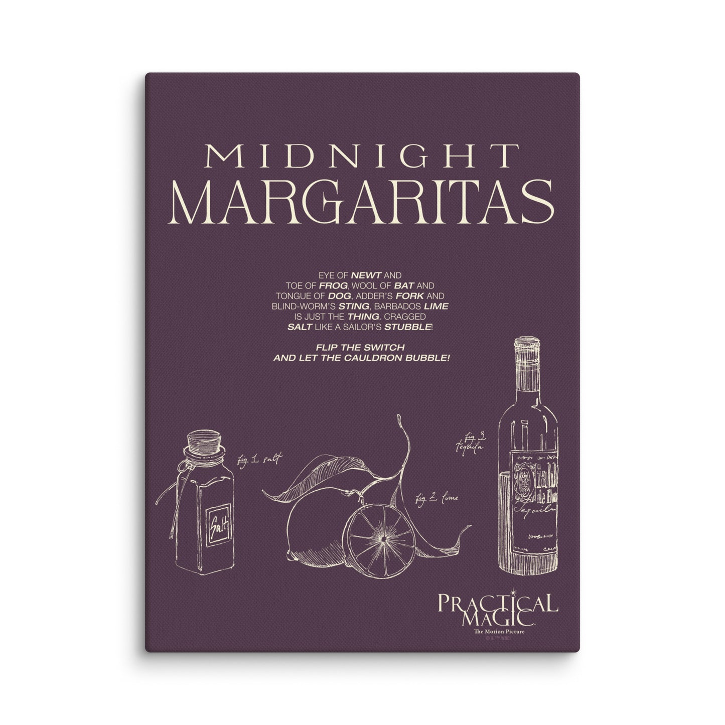Practical Magic Midnight Margaritas recipe printed on a high-quality canvas poster.
