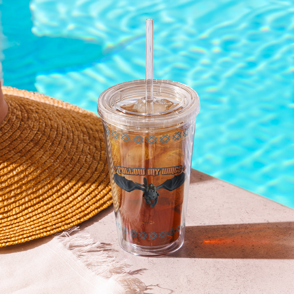 How to Train Your Dragon Follow My Wings Tumbler