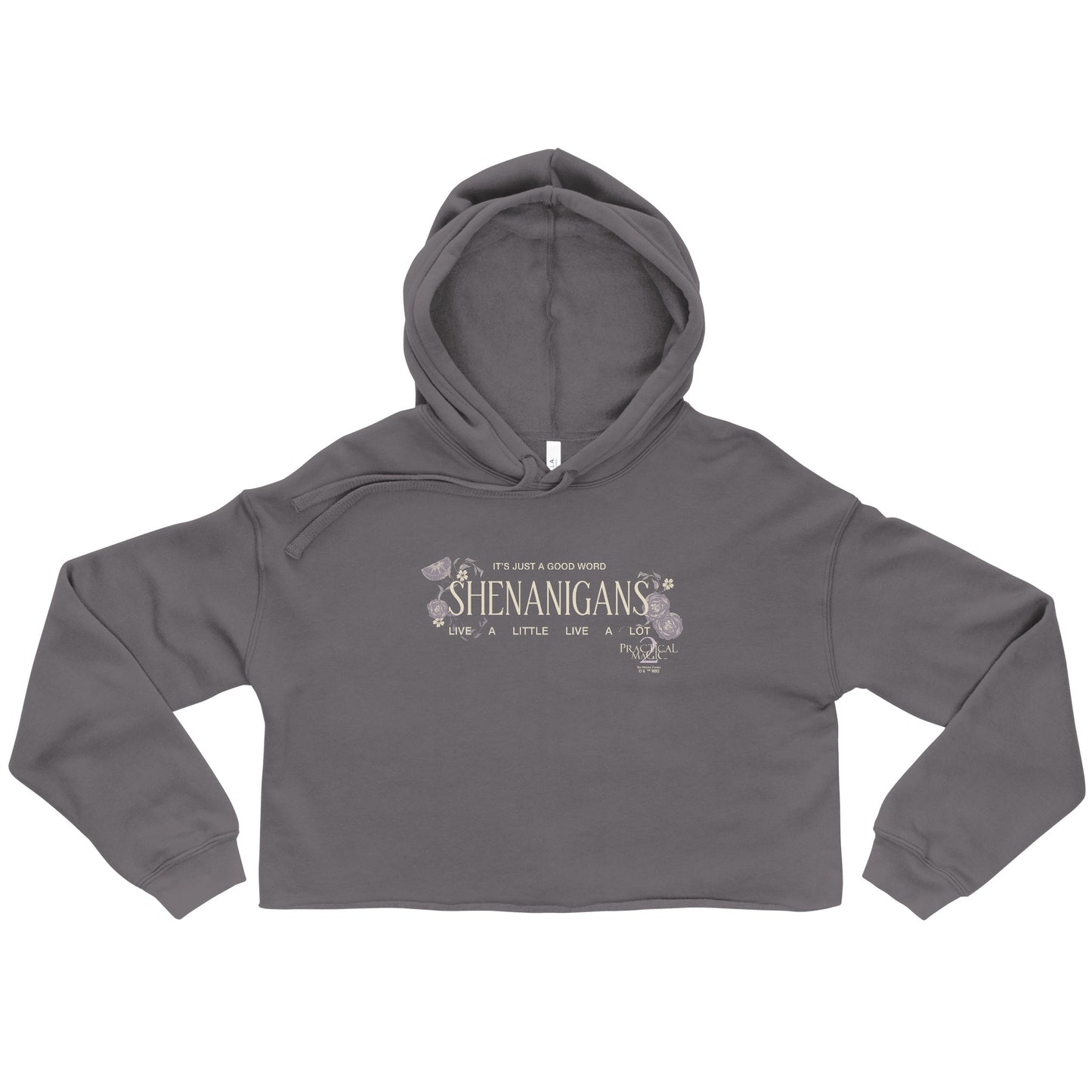 Practical Magic 2 Shenanigans cropped hoodie in black for women