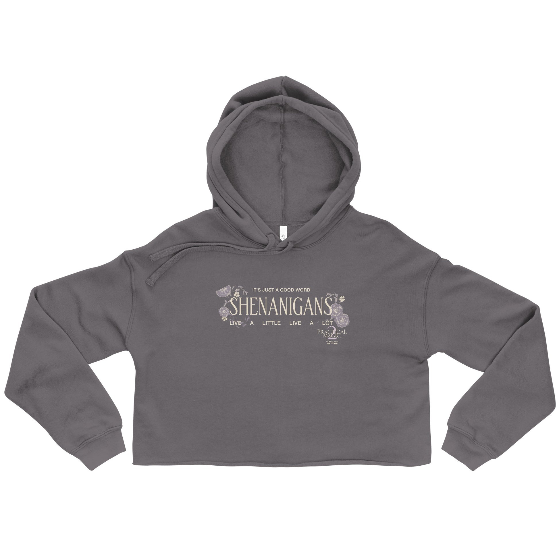 Practical Magic 2 Shenanigans cropped hoodie in black for women